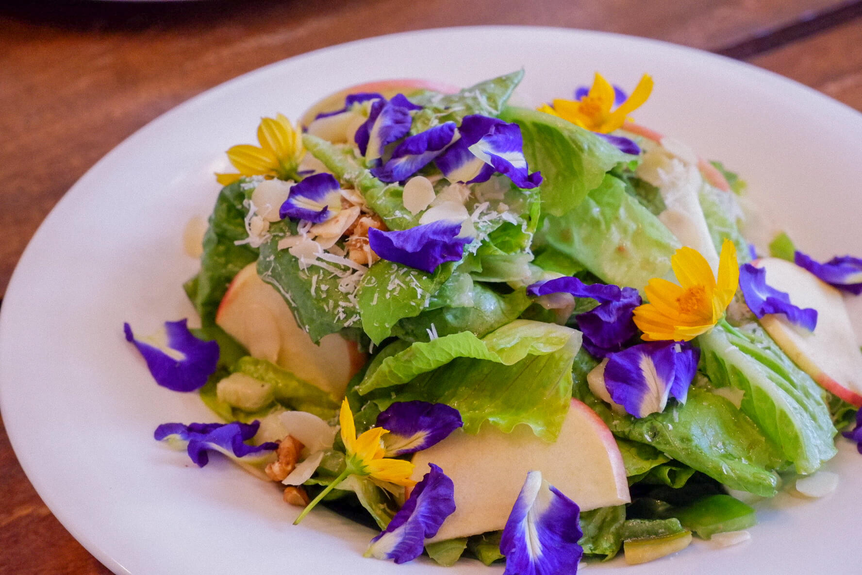 Organic salad with edible flowers